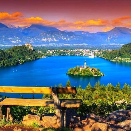 Alpine Cottage Bled Luaran gambar